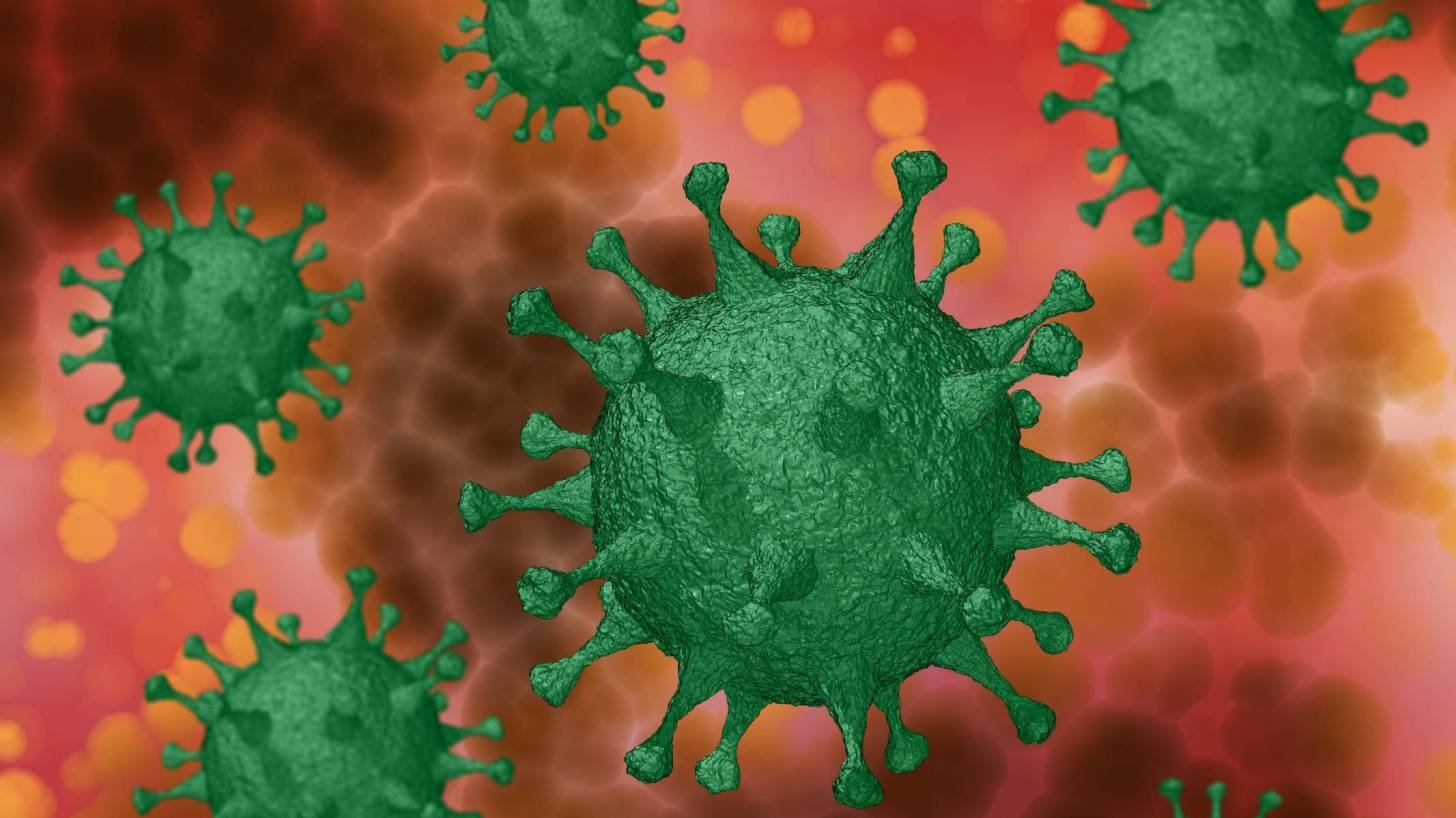 depiction of sars-cov-2 virus in the human cells